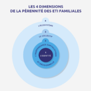 ETI - Entreprises à Taille Intermédiaire