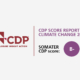 SOMATER améliore encore son score CDP